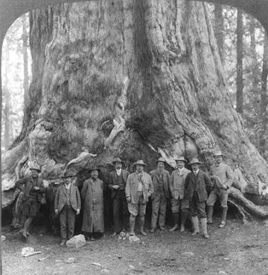 Sweet Americana Sweethearts: Teddy Roosevelt Visits Yosemite ...